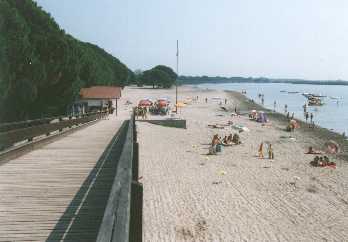 the beach)